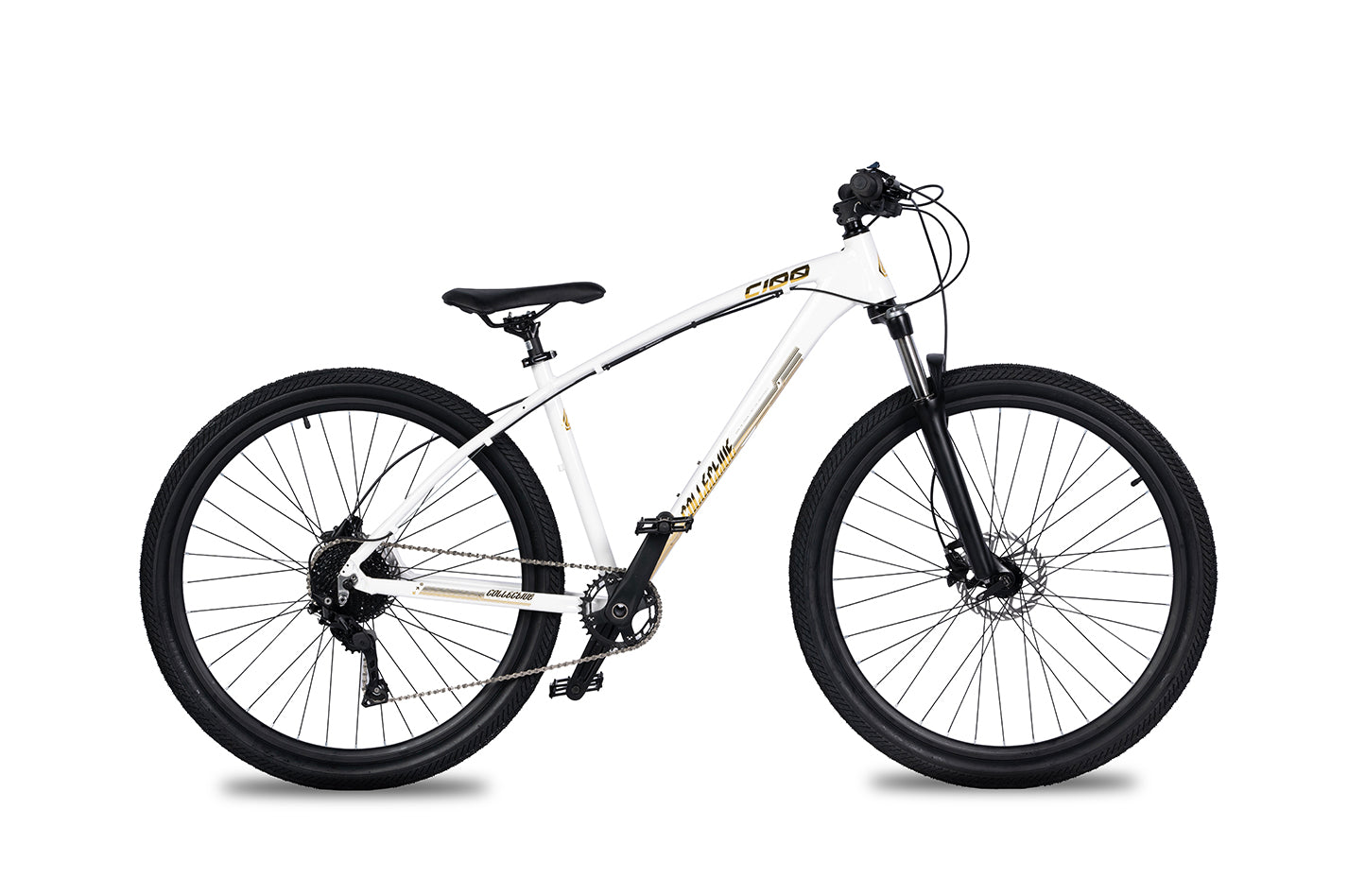 C100 V3 MTB