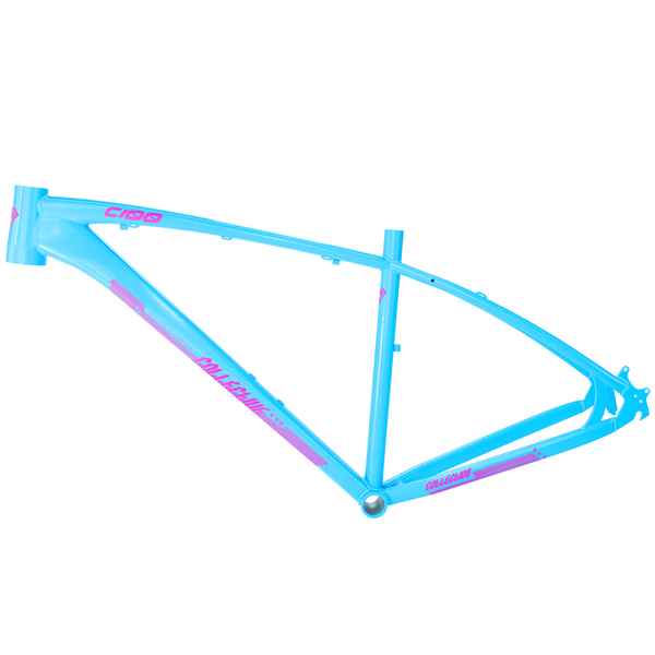 C100 PRO V3 FRAME Mist Blue Collective Bikes