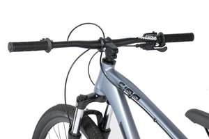 C100 V3 MTB - PLATINUM